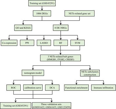 Identification of NETs-related biomarkers and molecular clusters in systemic lupus erythematosus